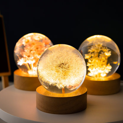 Luminous 3D Dandelion Crystal Ball Beech Wood Stand